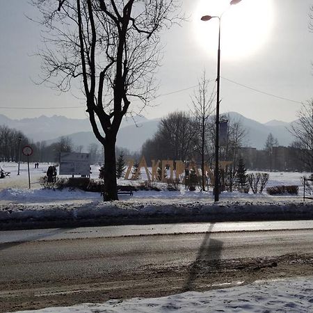 Tatrytop Studio Krupowki Zakopane Exteriör bild